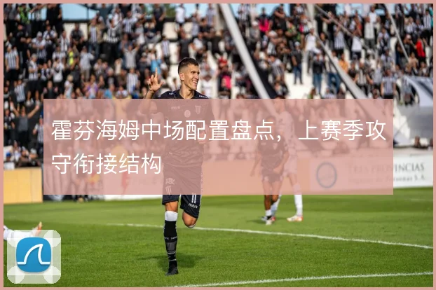 霍芬海姆中场配置盘点,上赛季攻守衔接结构