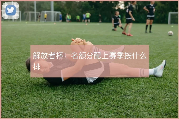 解放者杯：名额分配上赛季按什么排